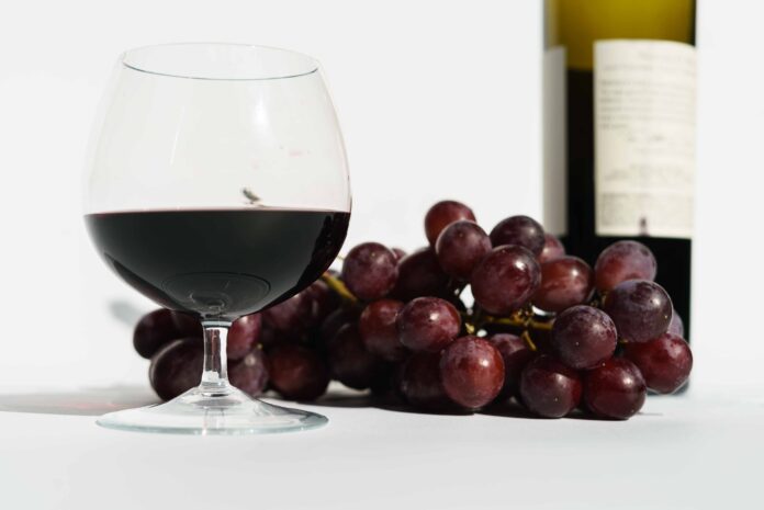 Visitatori tra i vigneti durante un’esperienza di turismo enologico